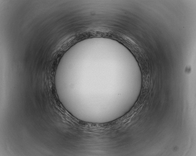 X0000097460774200802220806