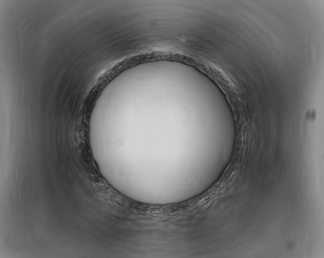X0000097460776200802220806