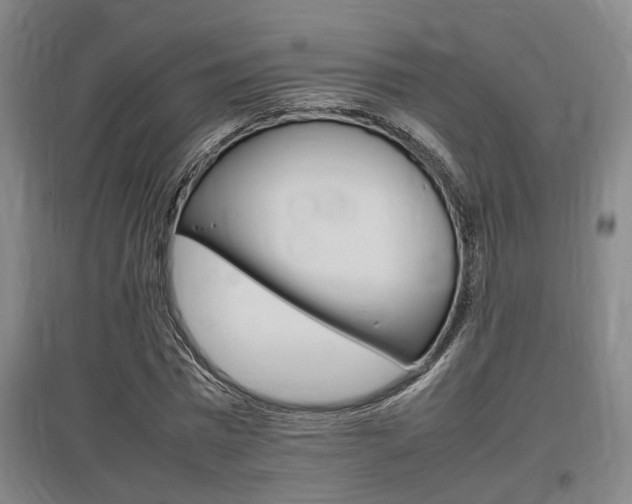 X0000097460777200802220806