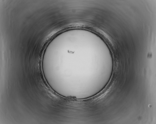 X0000097460778200802220806