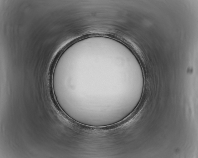 X0000097460779200802220806