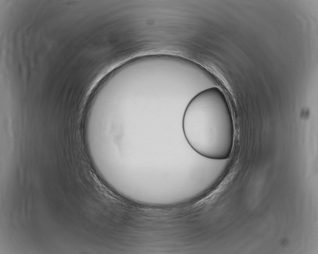 X0000097460781200802220806