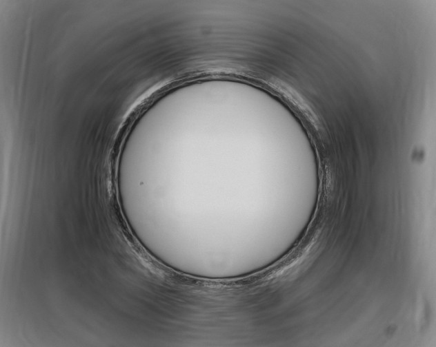X0000097460782200802220806