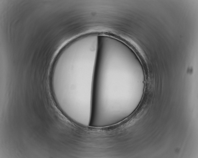 X0000097460783200802220806