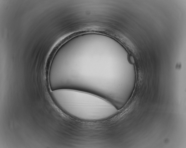 X0000097460784200802220806