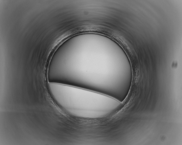 X0000097460786200802220806