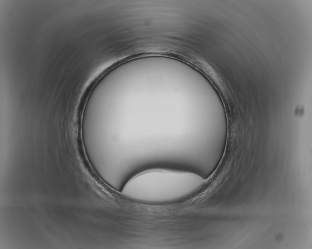 X0000097460787200802220805