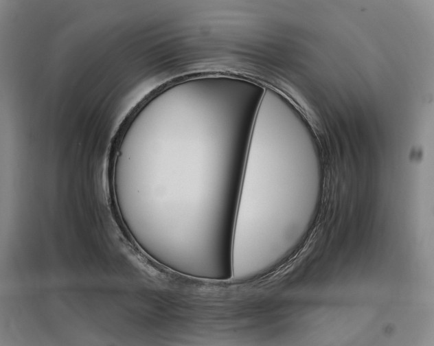 X0000097460788200802220805