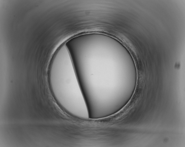 X0000097460789200802220805