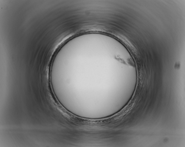 X0000097460790200802220805
