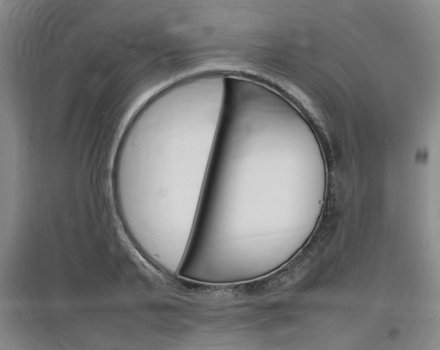 X0000097460791200802220805
