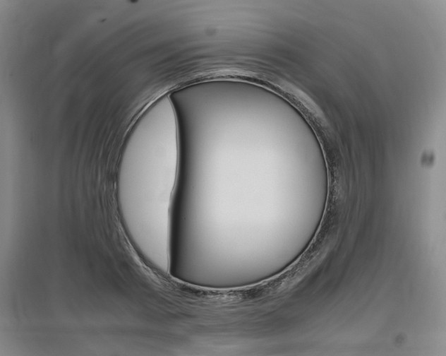 X0000097460793200802220805