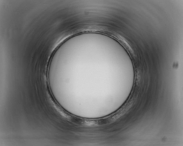 X0000097460794200802220805