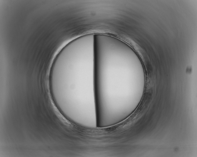 X0000097460795200802220805