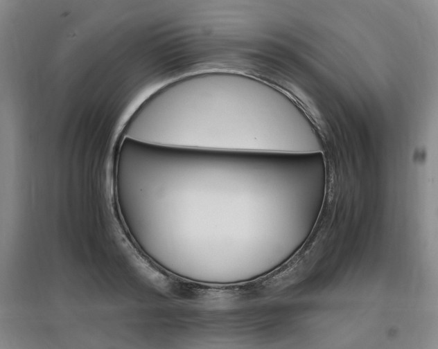 X0000097460796200802220805
