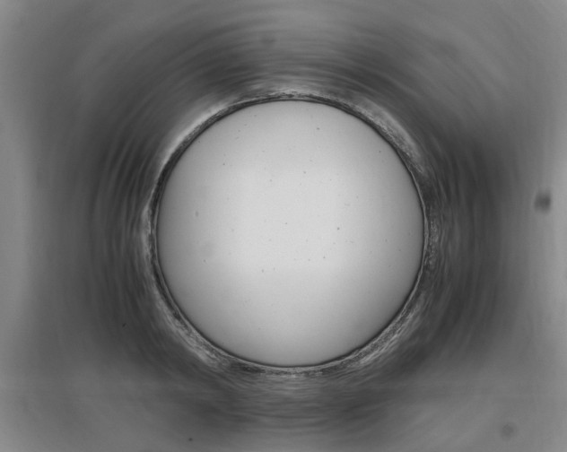 X0000097460798200802220805