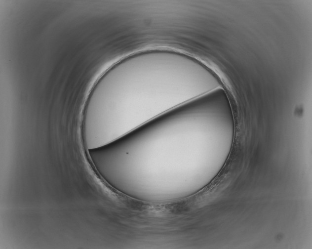 X0000097460799200802220805