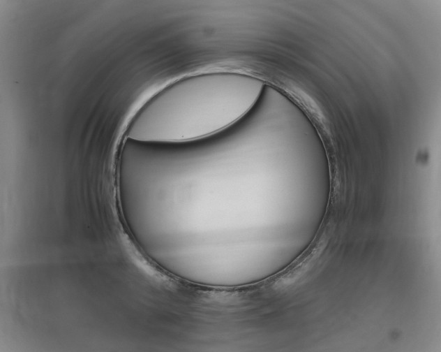 X0000097460800200802220805