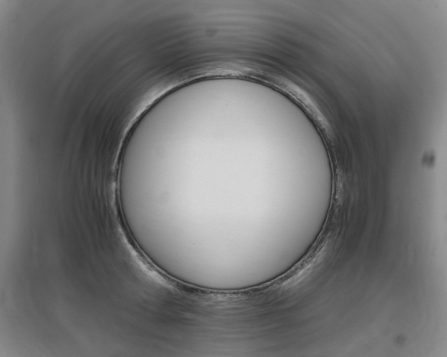 X0000097460802200802220805