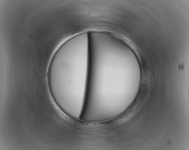 X0000097460803200802220805