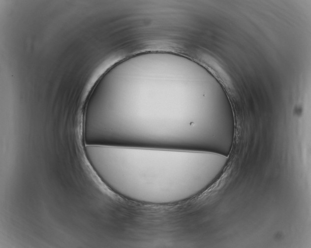 X0000097460804200802220805