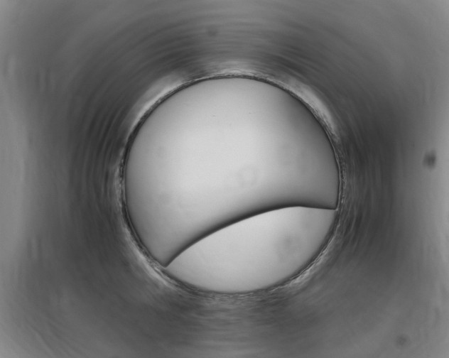 X0000097460806200802220805