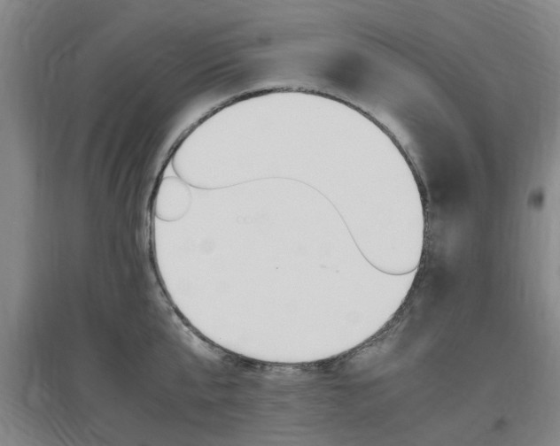 X0000097460807200802220805