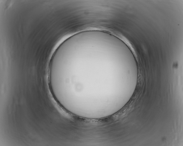 X0000097460811200802220805