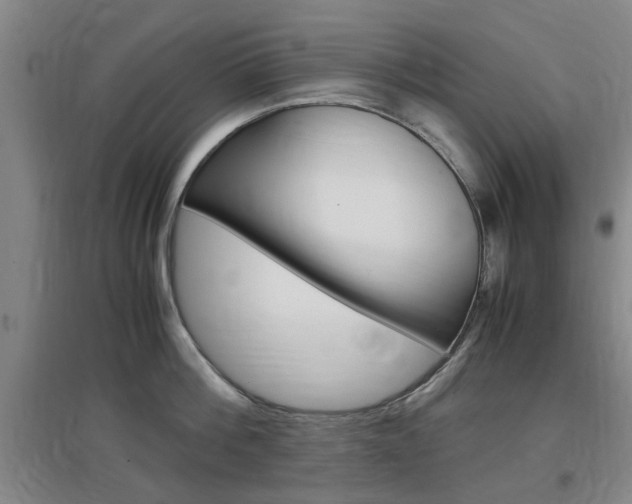 X0000097460812200802220805