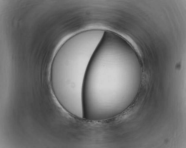 X0000097460815200802220805