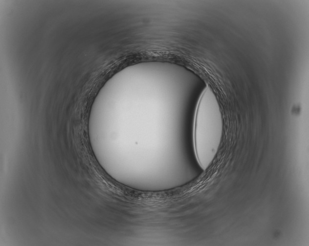 X0000097460817200802220804