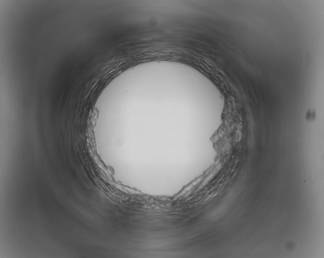 X0000097460820200802220804