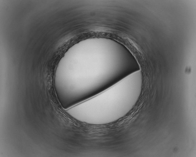 X0000097460821200802220804