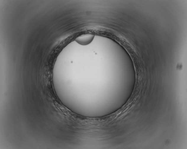 X0000097460822200802220804