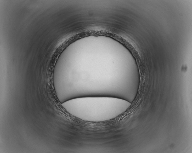 X0000097460823200802220804