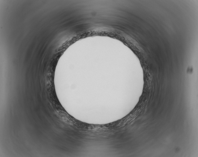 X0000097460824200802220804