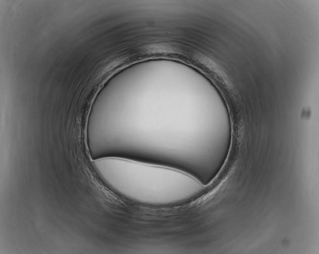 X0000097460825200802220804