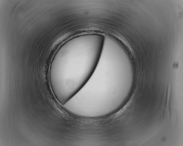 X0000097460826200802220804