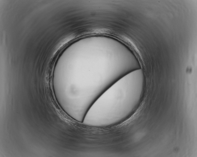 X0000097460827200802220804