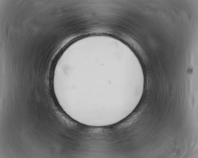X0000097460828200802220804