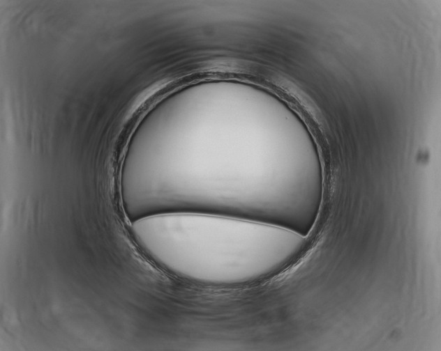 X0000097460829200802220804
