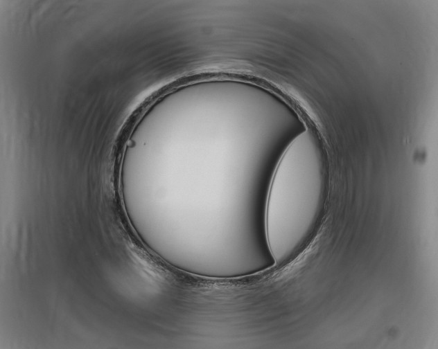 X0000097460830200802220804