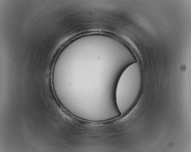X0000097460831200802220804