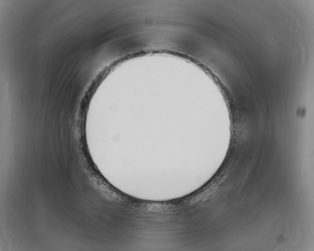 X0000097460832200802220804