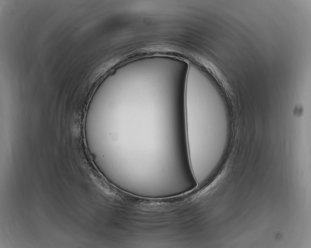 X0000097460833200802220804