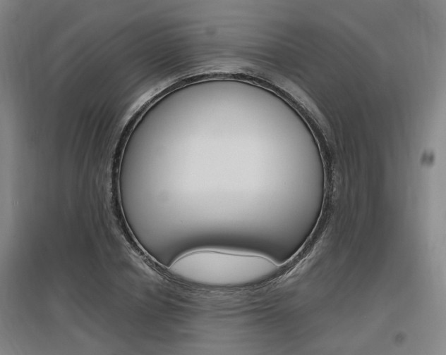 X0000097460834200802220804