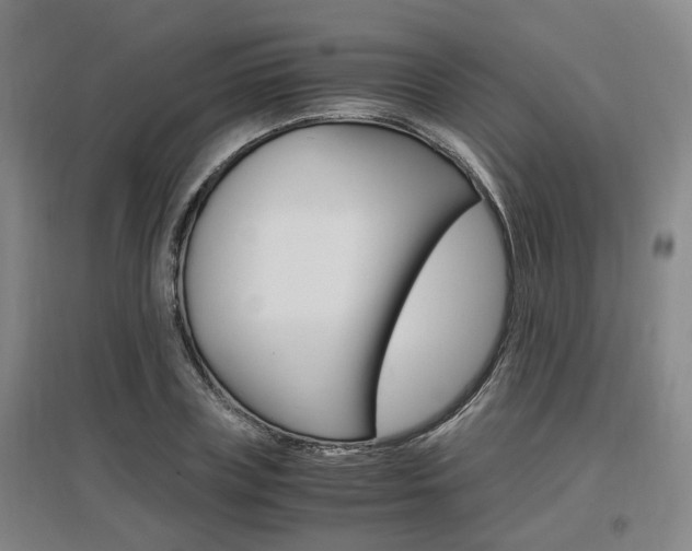 X0000097460835200802220805