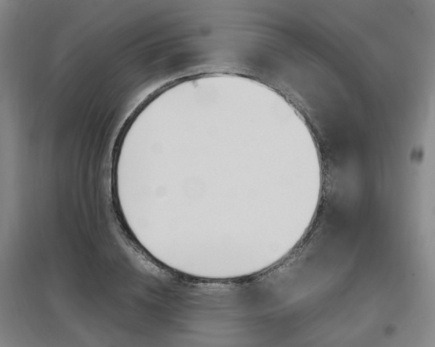 X0000097460836200802220805