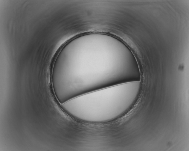 X0000097460838200802220805