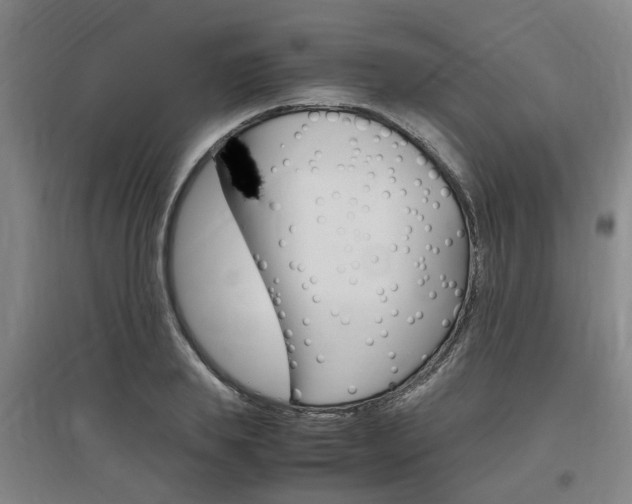 X0000097460839200802220805